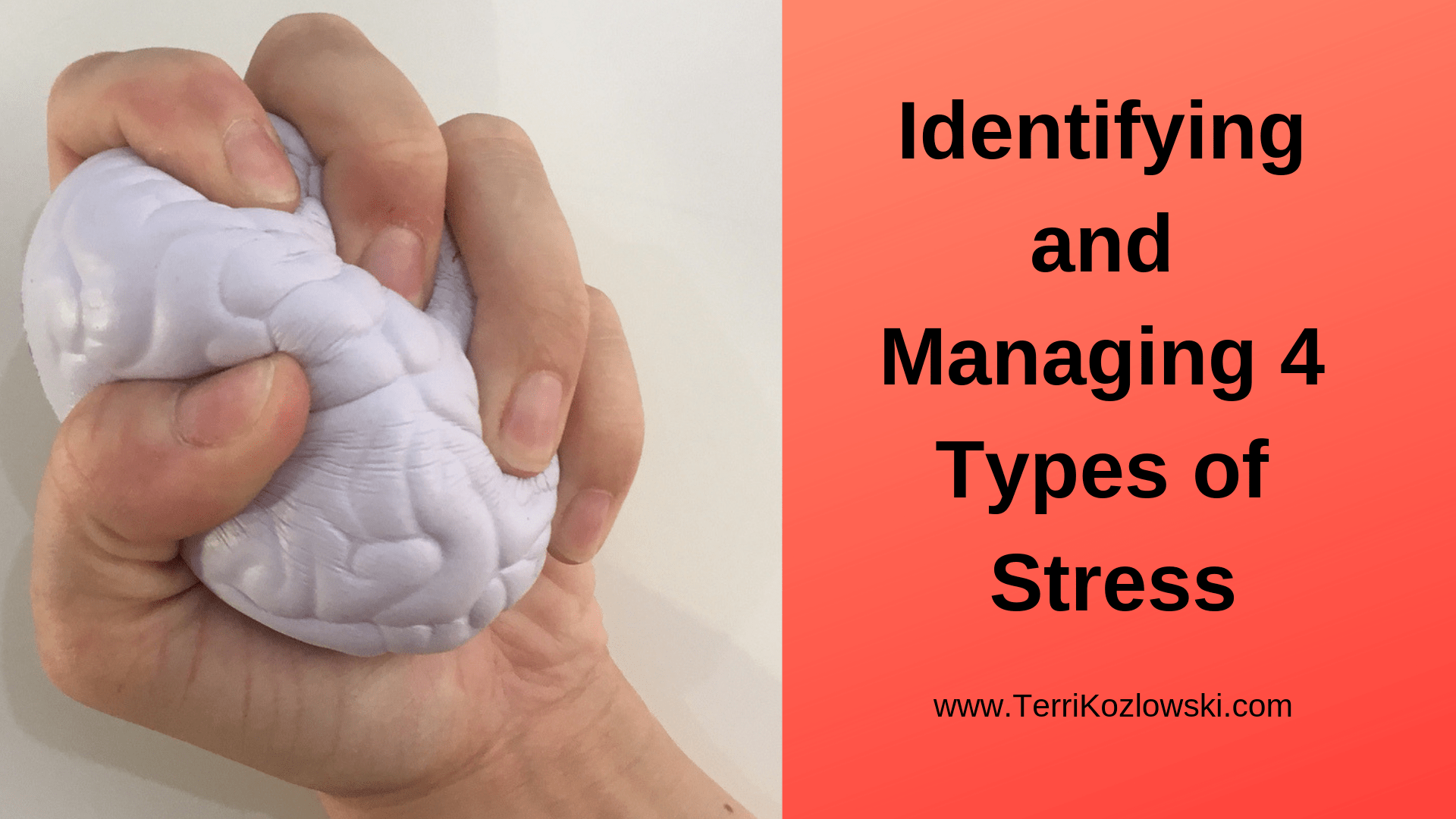 identifying-and-managing-4-types-of-stress-terri-kozlowski