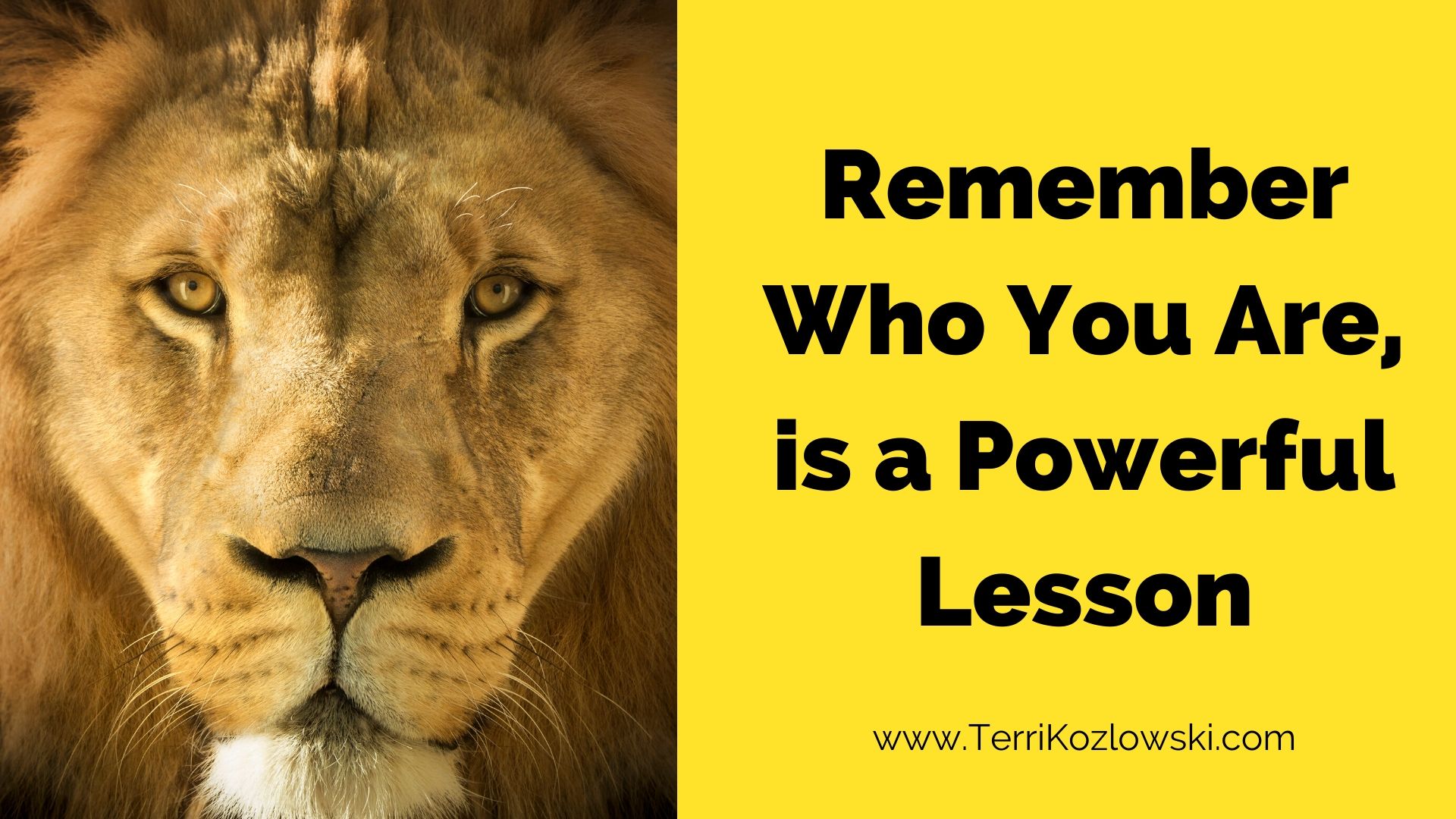 Remember Who You Are, Is a Powerful Lesson