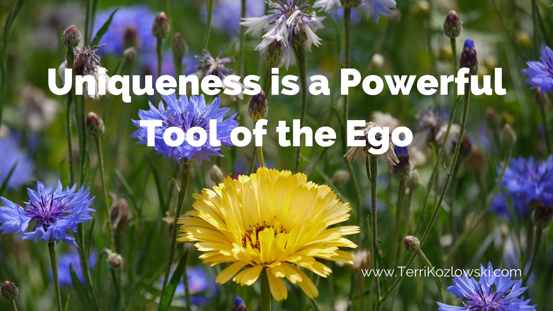Being Unique the Ego's Tool