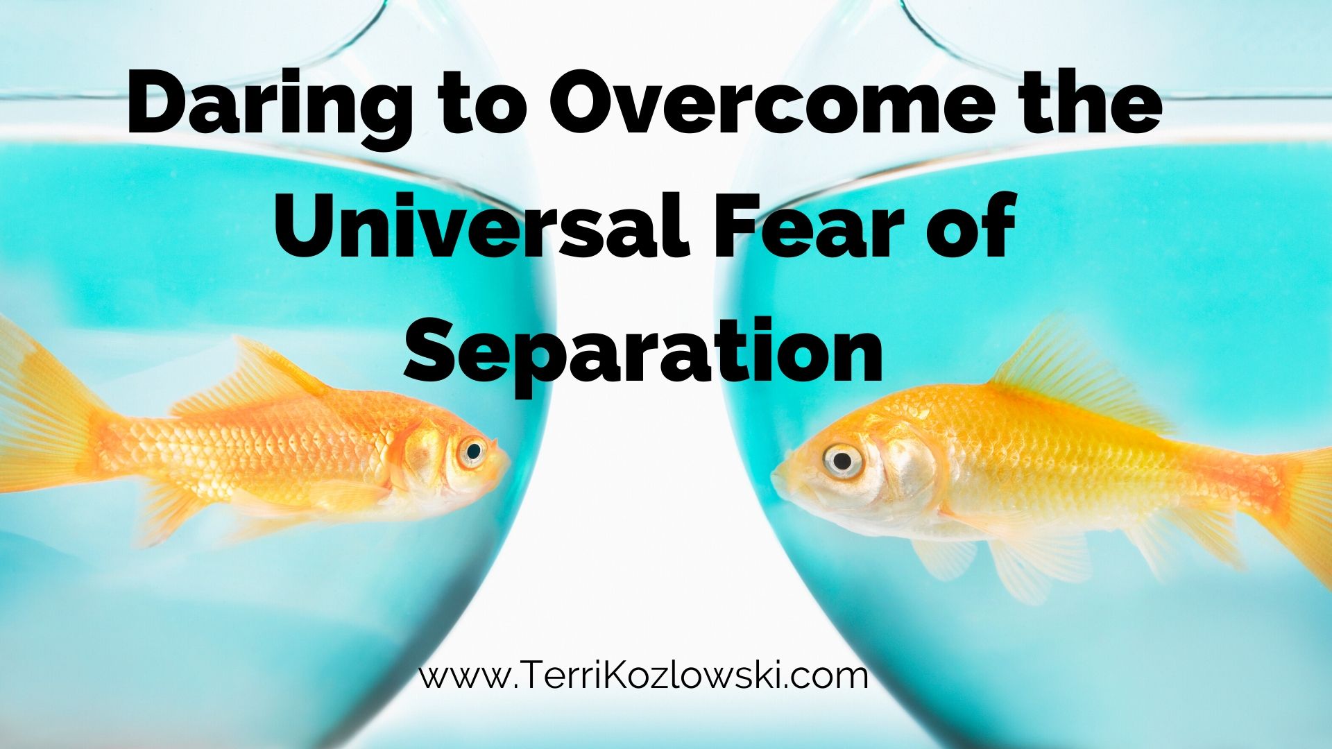Daring to Overcome the Universal Fear of Separation
