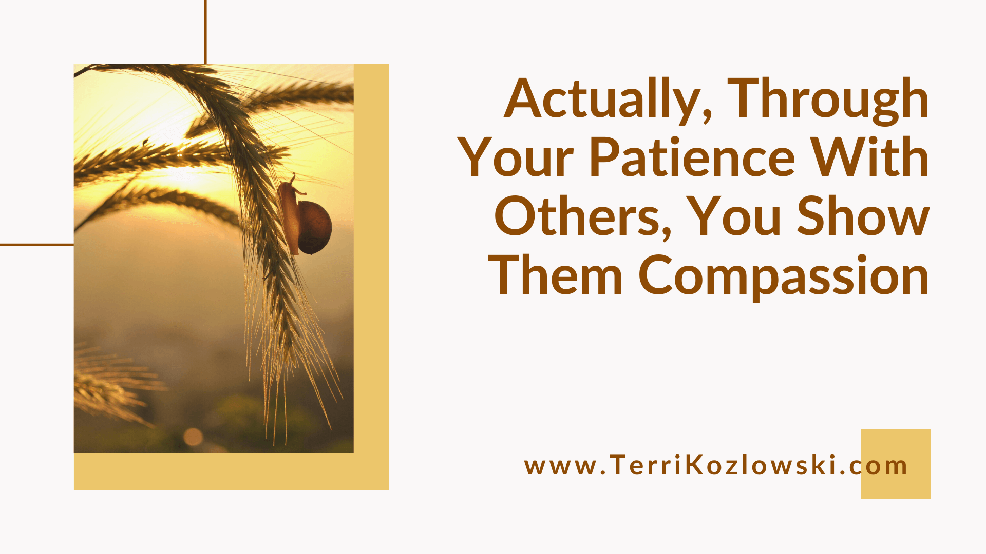 Actually, Through Your Patience With Others You Show Them Compassion